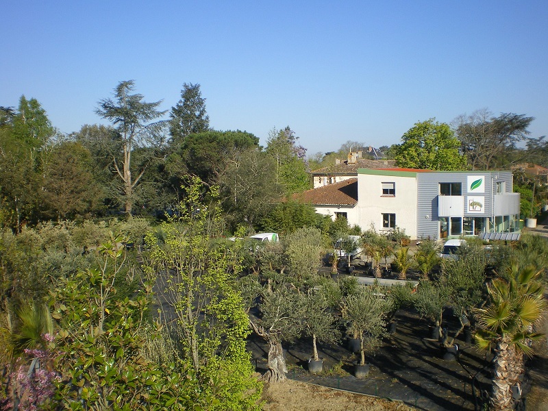 La pépinière, les bureaux Bureaux pepiniere