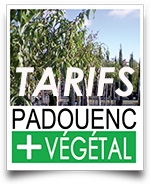 bouton padouenc vegetal tarifs