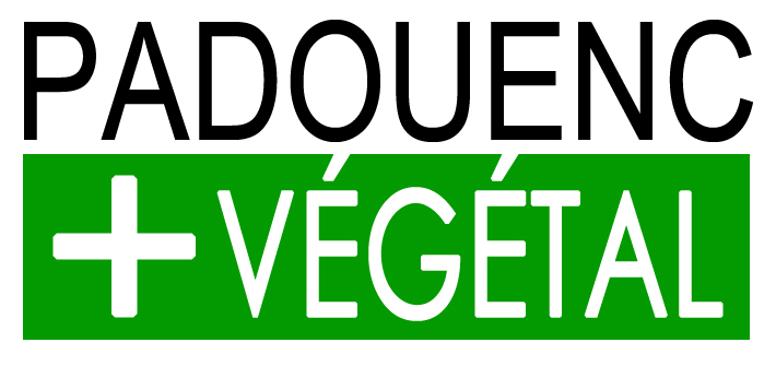 PADOUENC  vgtal