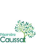 logo padouenc